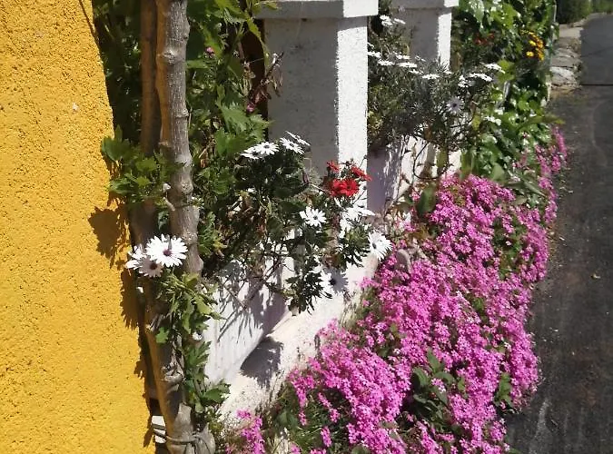 Maggi Apartament Preko