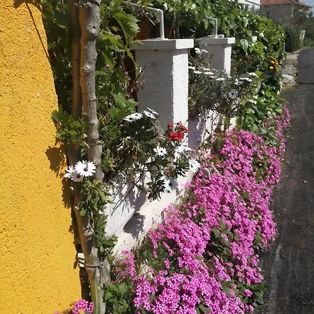 Maggi Apartman Preko